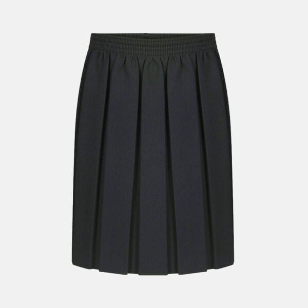 Girls School Elasticated Waist Box Pleated Skirts In Navy Blue