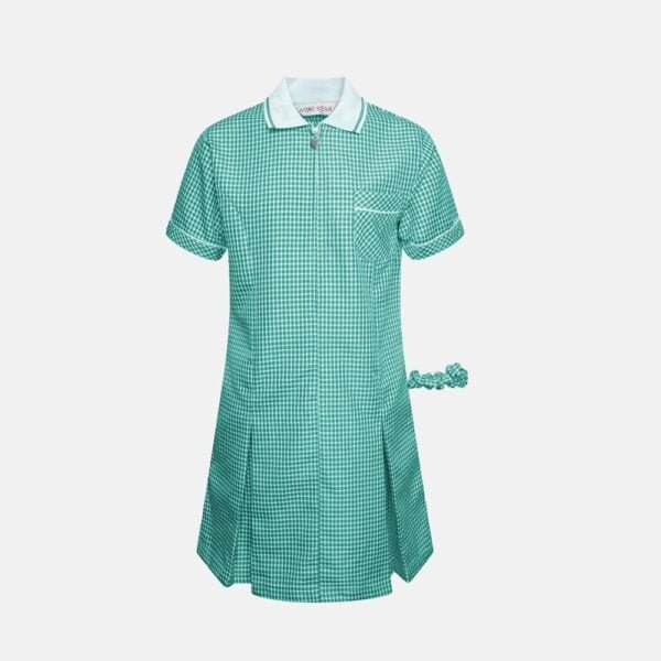 Girls School Summer Gingham Short Sleeve Dress In Green