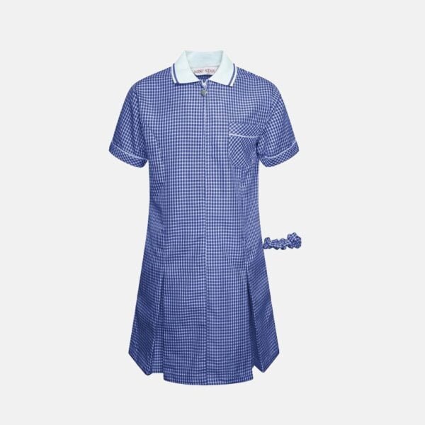 Girls School Summer Gingham Short Sleeve Dress In Navy Blue