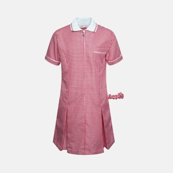 Girls School Summer Gingham Short Sleeve Dress In Red