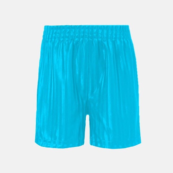 Kids School Pe Shorts In Sky Blue Colour