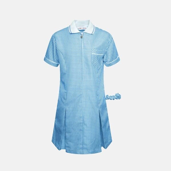 Girls School Summer Gingham Short Sleeve Dress In Sky Blue