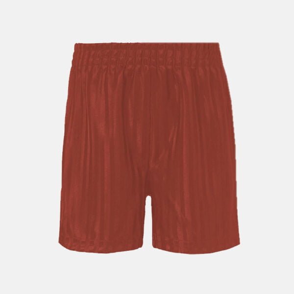 Kids School Pe Shorts In Wine Colour